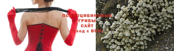 не бодяженный Каменка